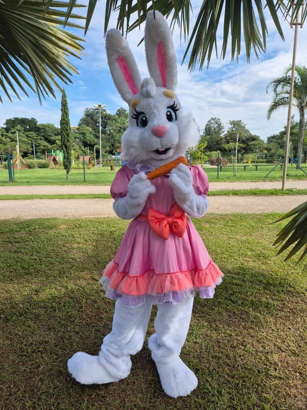 coelha feminina rosa, com lacinho na cintura na cor salmão e uma cenoura na mão