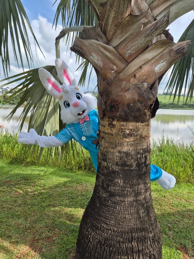 coelho brincando, saindo de tras do pe de coqueiro com uma roupa azul e gravatinha borboleta rosa