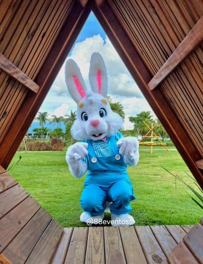 coelho de azul agachado, como se fosse entrar em sua toca
