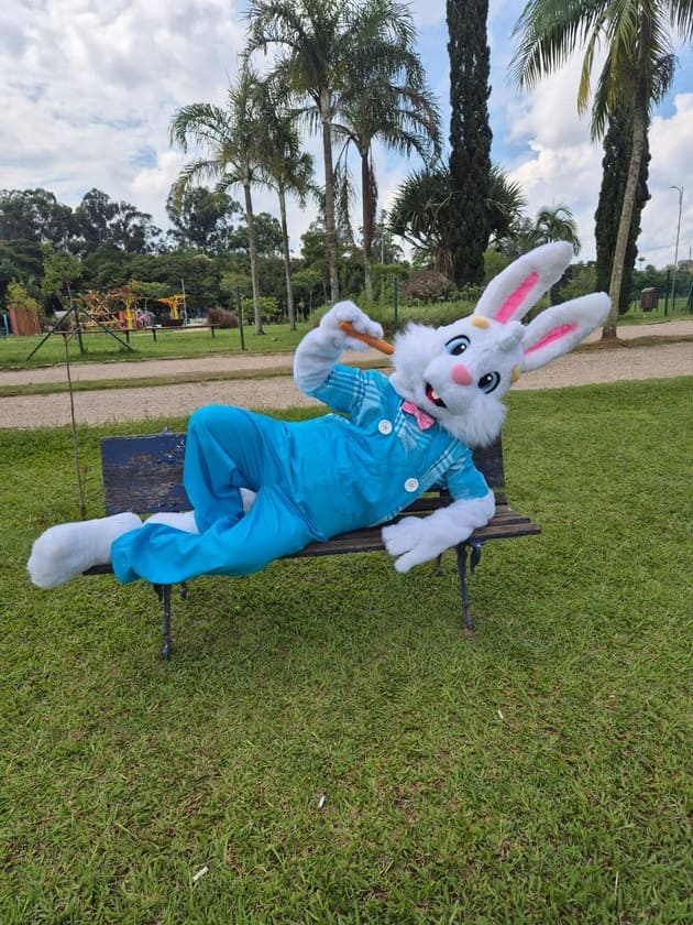 coelho branco com roupa azul fazendo pose em um banco e com uma cenour ana mão