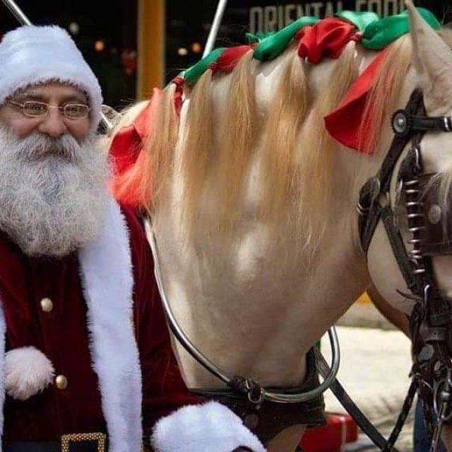 _papai noel luxo